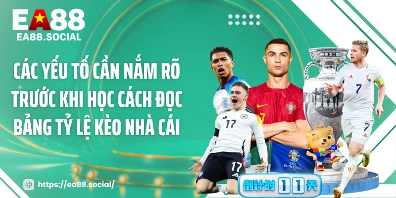 Các yếu tố cần nắm rõ trước khi học cách đọc bảng tỷ lệ kèo nhà cái