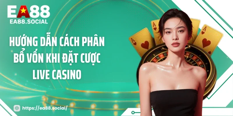 Hướng dẫn cách phân bổ vốn khi đặt cược live casino