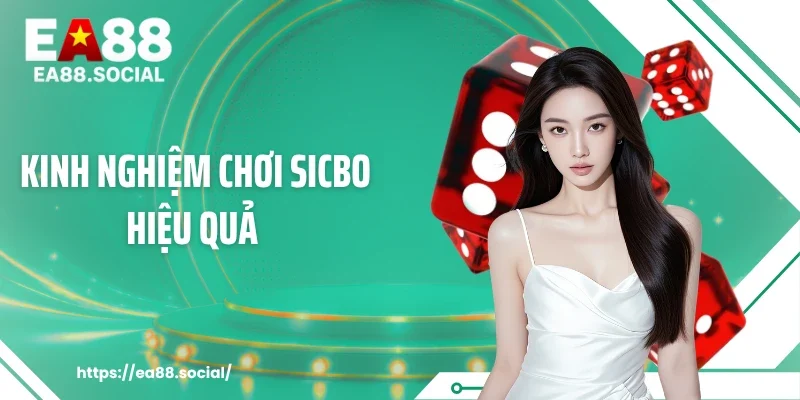 Kinh Nghiệm Chơi Sicbo Hiệu Quả Theo Chu Kỳ 20 Phiên Cược