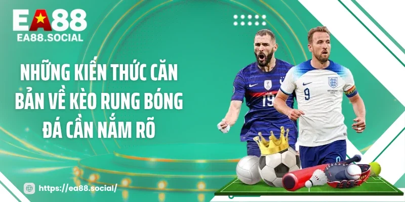 Những kiến thức căn bản về kèo rung bóng đá cần nắm rõ